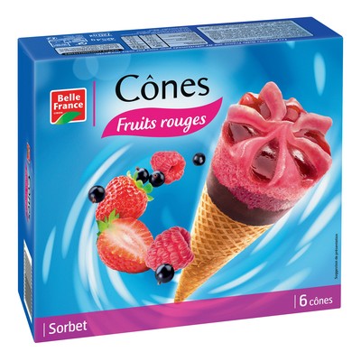 CONE SORB.FRTS RGES X6 BF